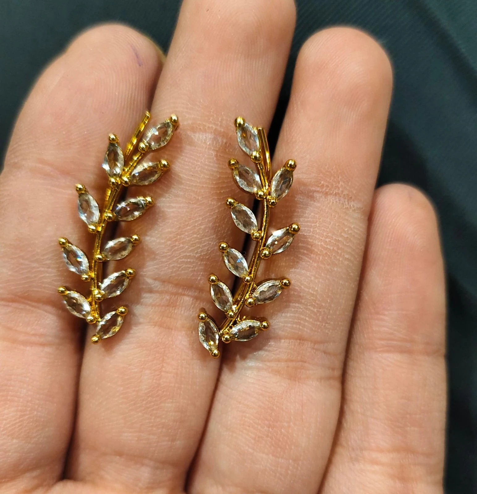 Earrings